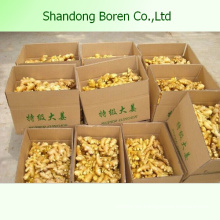 2015 Shandong New Harvest Frischer Ingwer